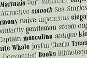 Marinaio Family + Ornaments, a Serif Font by Hederae Type Foundry (Thumbnail 5 of 11)