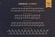 Eleven Hockey Typeface, a Script Font by alit design (Thumbnail 5 of 20)