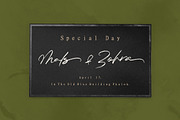 Fragile Script, a Script Font by Dhan Studio (Thumbnail 5 of 5)