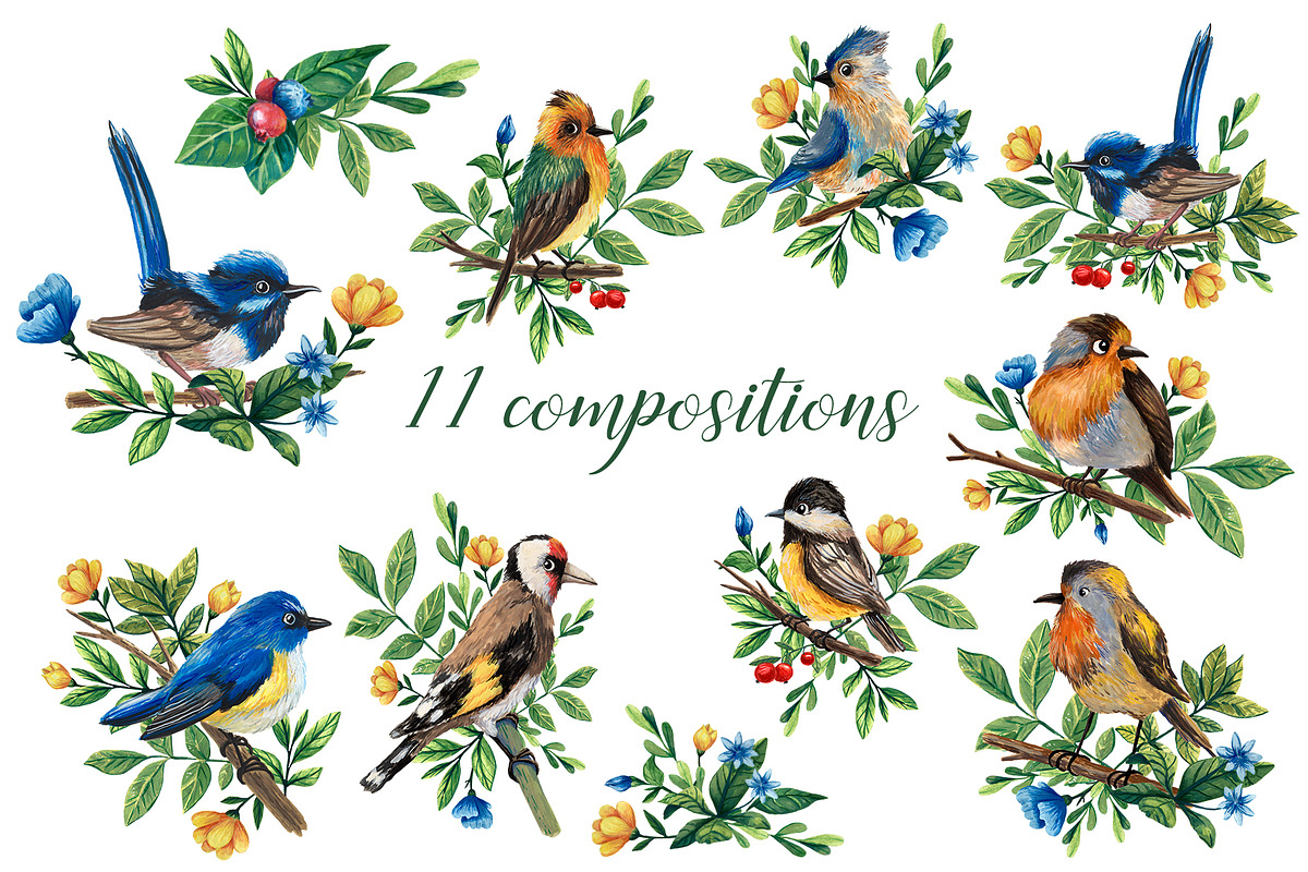 Forest Birds - Gouache Clipart Set, an Animal Illustration by Mashamashastu (Photo 4 of 11)