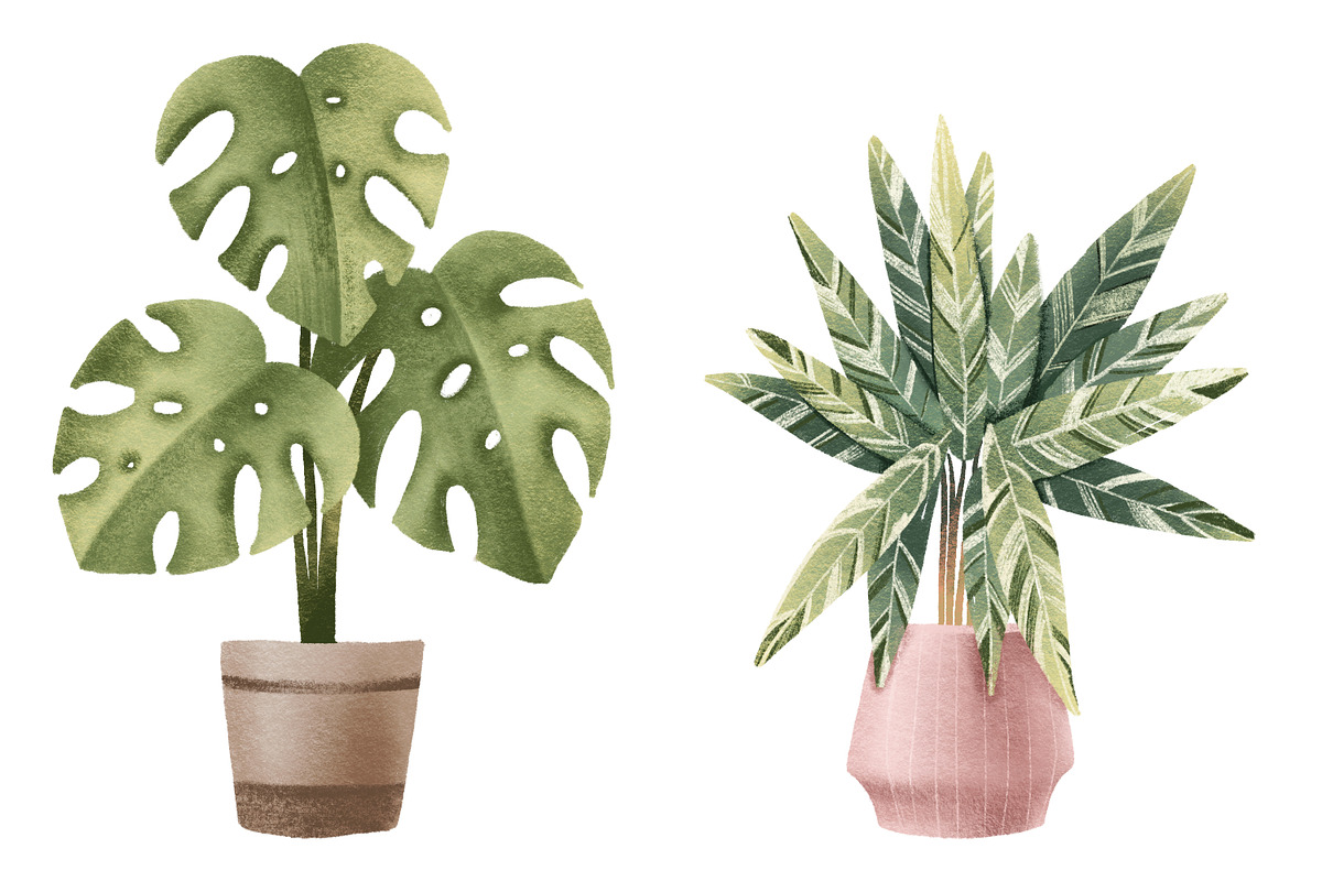 Cozy House Plants Clipart, a Decorative Illustration by the_myro (Photo 3 of 10)