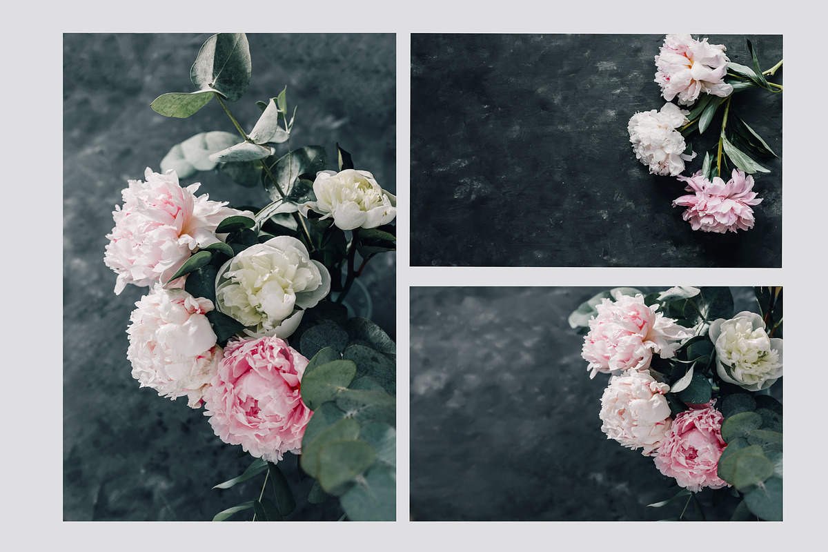 Pink Peonies Collection, an Arts & Entertainment Photo by Anntuan (Photo 7 of 10)
