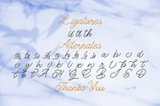 The Gallery - Monoline Script Font, a Script Font by StringLabs (Thumbnail 8 of 8)