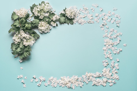 Floral frame made of white flowers, an Arts & Entertainment Photo by VICUSCHKA