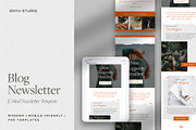 Blog/Influencer Newsletter Template, an Email Template by ONYU Studio (Thumbnail 1 of 5)