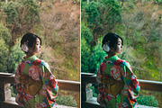 25 Japan Lightroom Presets, an Action Add-On by Viktor Gjokaj (Thumbnail 2 of 11)
