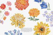 watercolor floral clipart bundle, a Decorative Illustration by Patishop Art (Thumbnail 6 of 9)