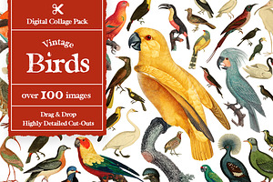 Vintage Birds Digital Collage Pack