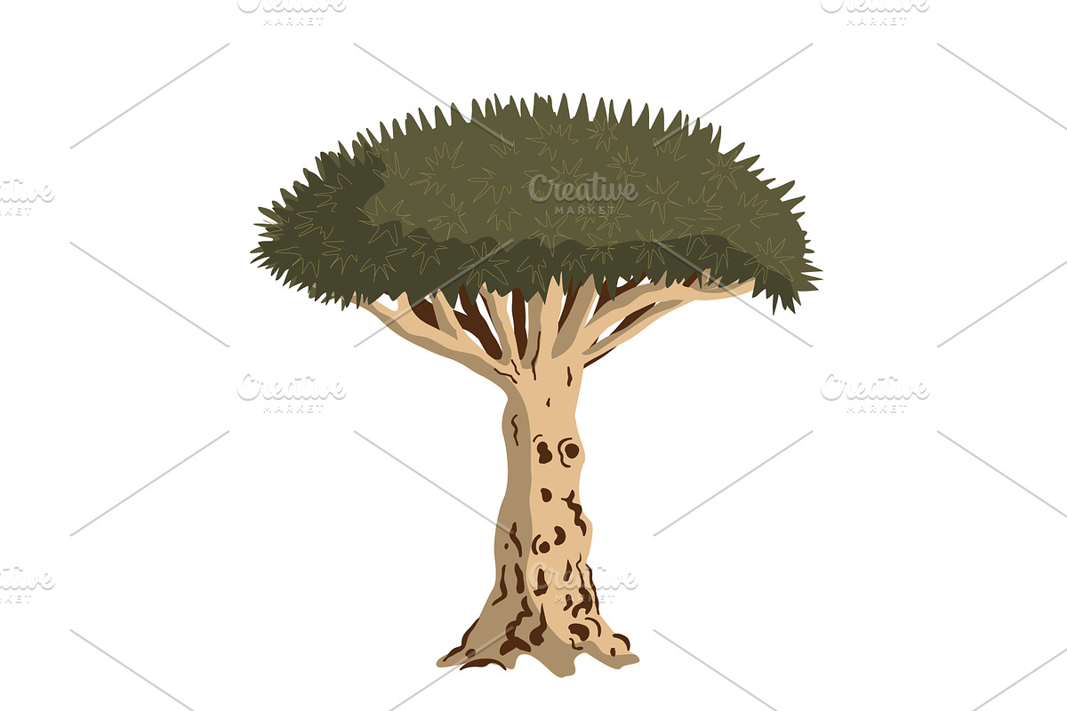 Dragon blood tree isolated, an Object Illustration by Toltemara