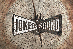 12 Vintage Logo Mockups V.2