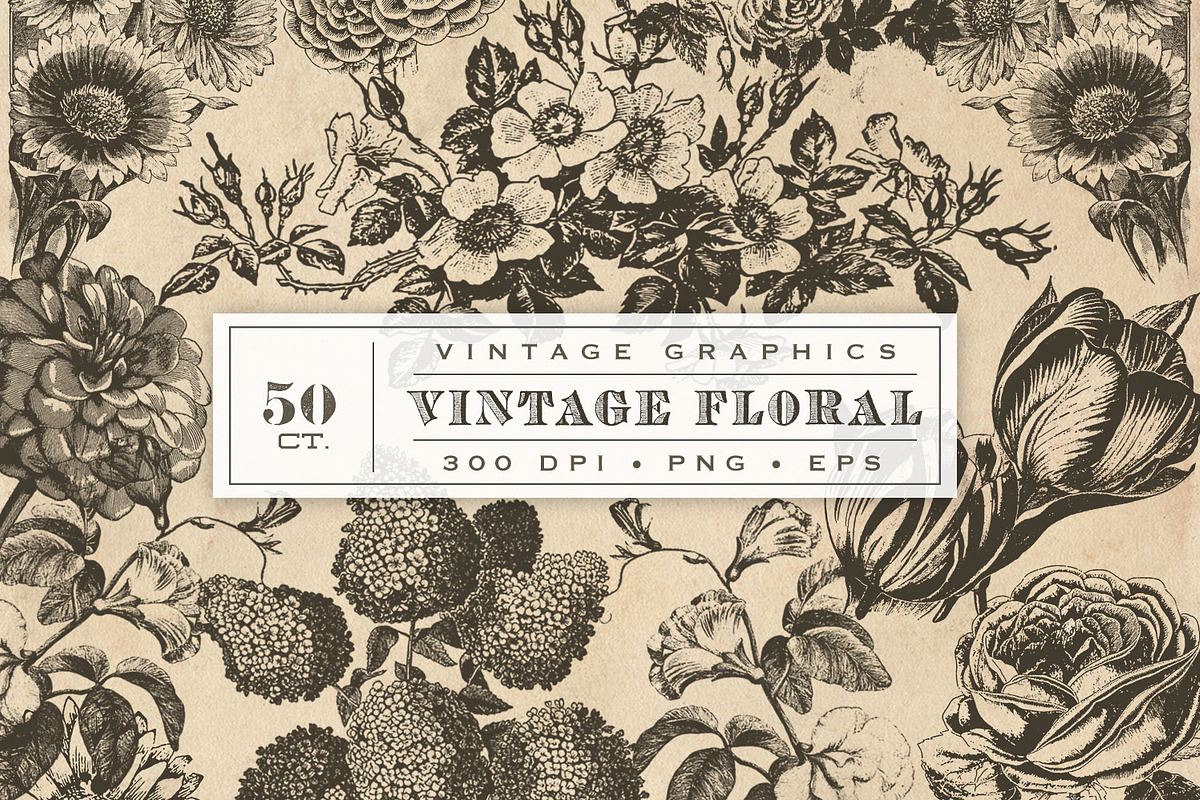 Vintage Flower Vector Graphics, an Illustration by Eclectic Anthology (Photo 1 of 4)