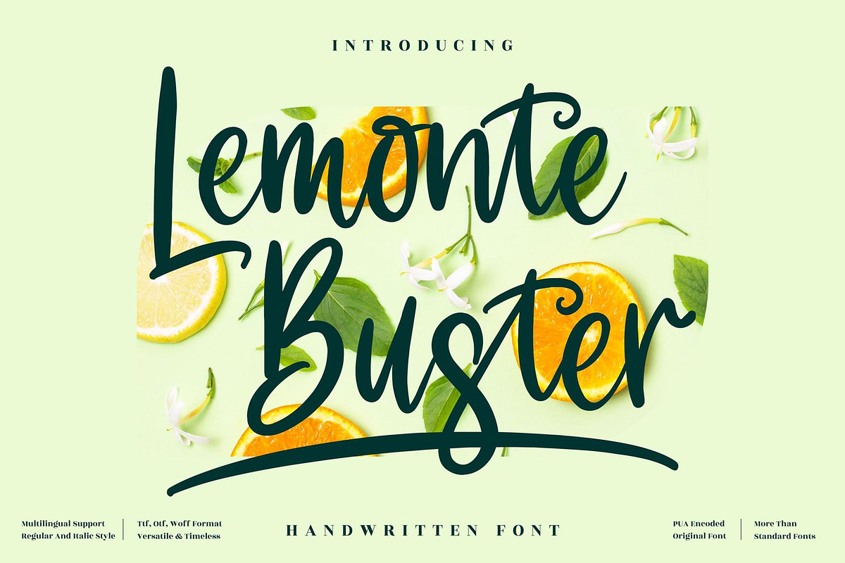 Lemonte Buster Handwritten LS, a Script Font by GranzCreative (Photo 1 of 12)