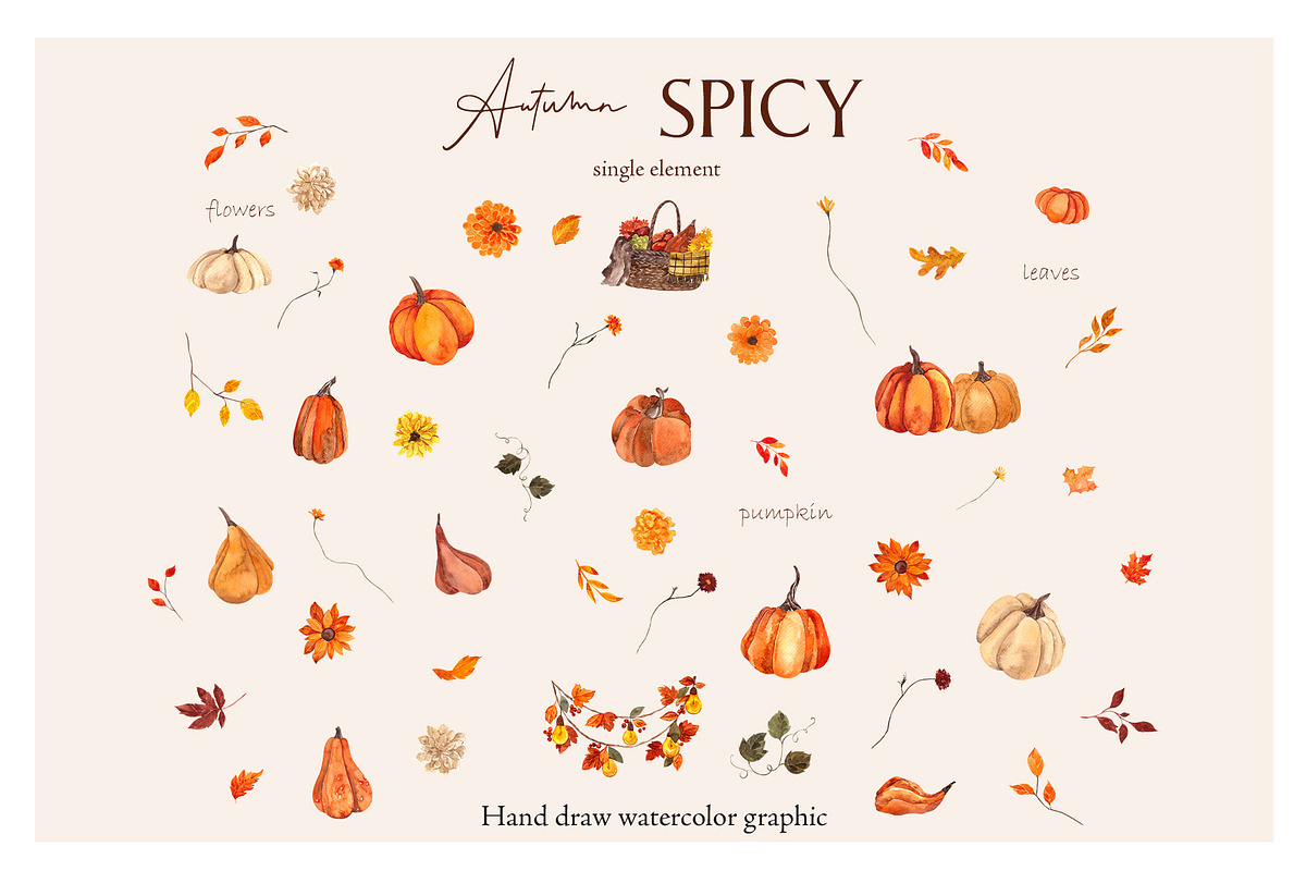 Autumn Spicy.Hand draw watercolor, an Object Graphic by ma_i_vi (Photo 5 of 10)