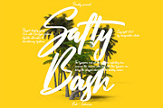 Salty Bash Tropical Script, a Script Font by Designsation (Thumbnail 1 of 10)