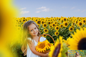 Sunflower Photo Overlays Backdrops