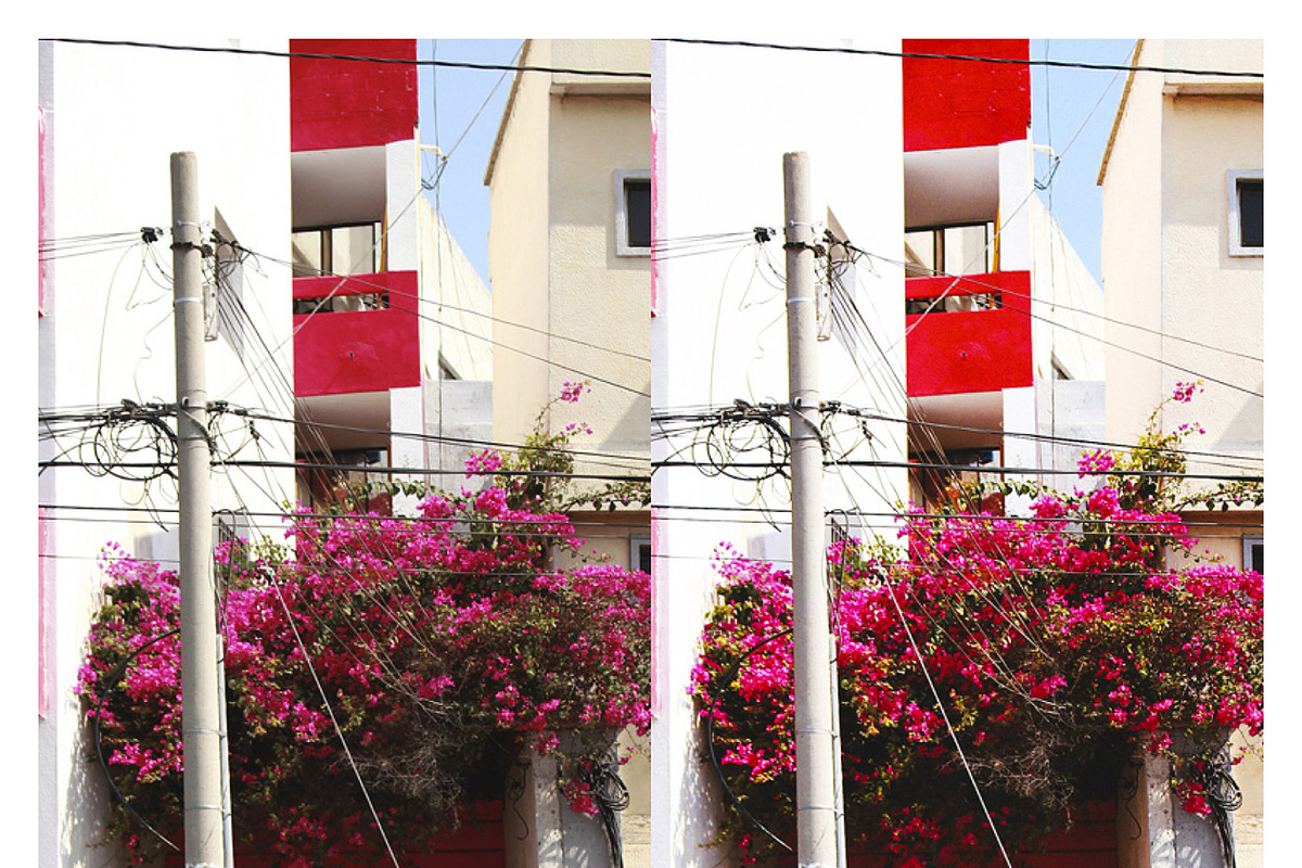 Fuji Astia 100F Lightroom Presets, an Action Add-On by Daily Studio (Photo 4 of 10)