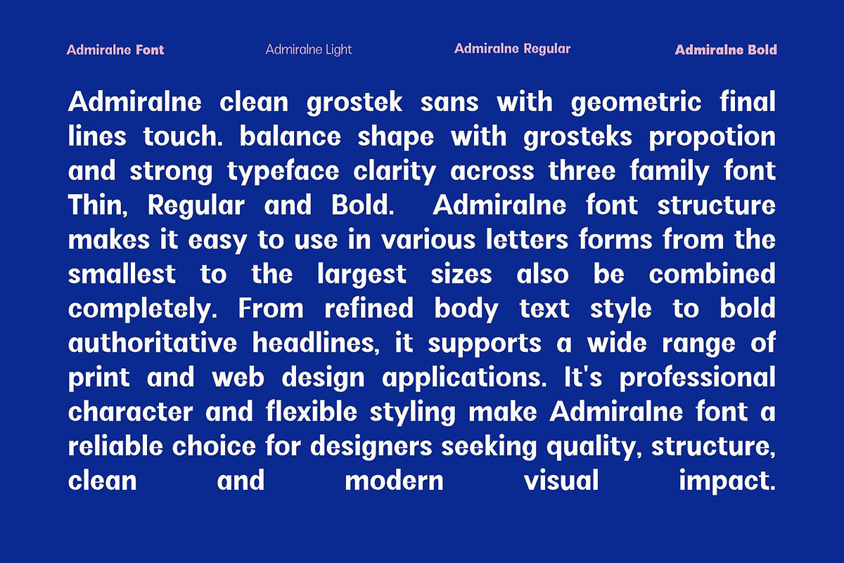 Admiralne Sans Family Font, a Sans Serif Font by Rasiorise Studio (Photo 15 of 15)