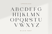 Bilgie - Chique Serif Font, a Serif Font by zeenesia (Thumbnail 12 of 19)