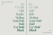 Johannes Keppler Family (18 Fonts), a Serif Font by Positive TypeFoundry (Thumbnail 13 of 15)