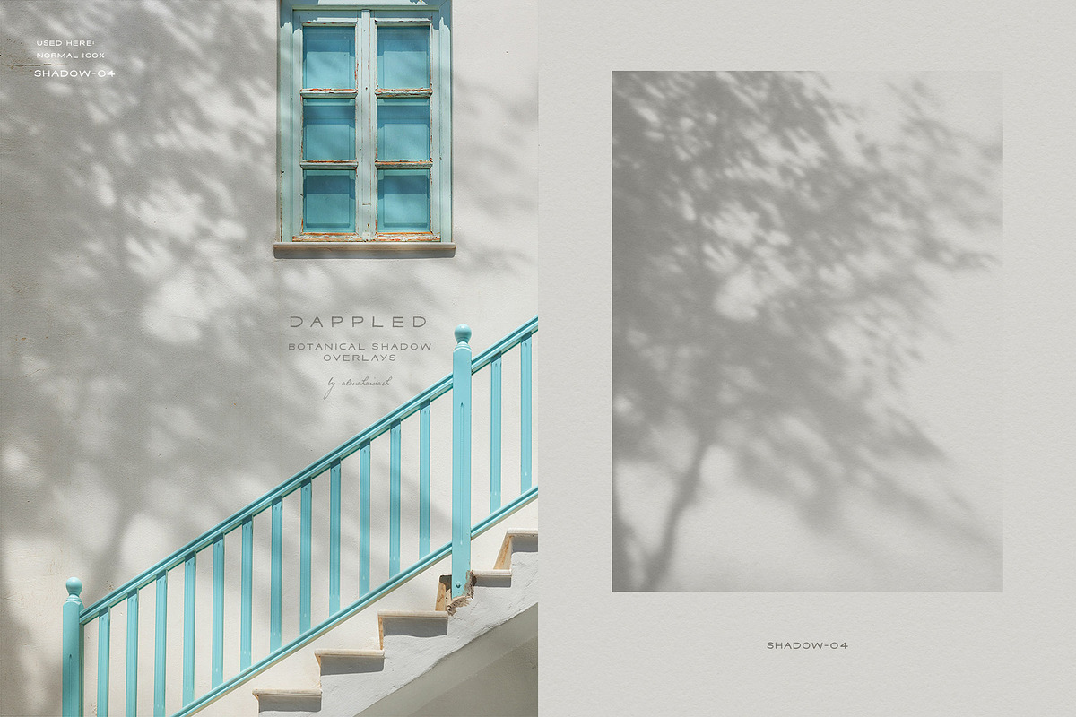 Dappled - Botanical Shadow Overlays, a Texture Graphic by alonahaidash (Photo 3 of 16)