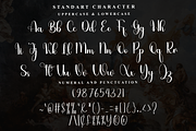Alica, a Handwritten Font by FreshTypeINK (Thumbnail 3 of 7)