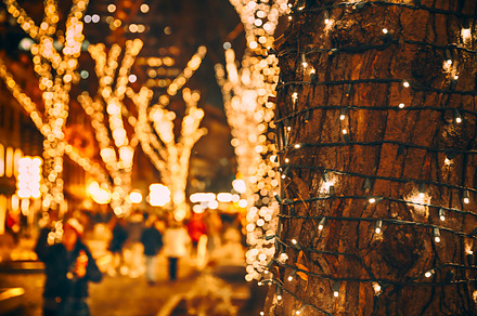 Christmas lights on the tree, a Holiday Photo by EvgeniiAnd