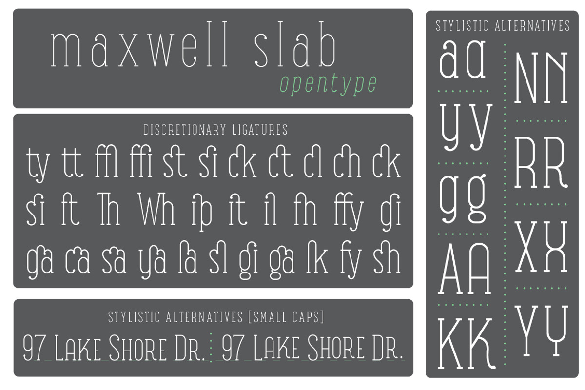 Maxwell Slab Intro Sale preview 4