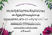 Sweethart Script + Vectors, a Script Font by Flycatcher Design (Thumbnail 3 of 6)