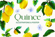 Quince fruit and leaves clipart, a Food Illustration by Harmony Draws (Thumbnail 1 of 7)