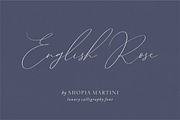 Sophia Martini Calligraphy Font, a Script Font by Letteralle Studios (Thumbnail 6 of 11)