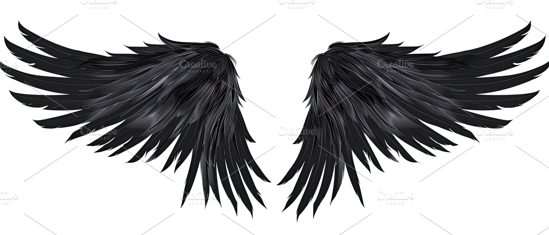Black Feathered Wings Spread Out , G, a Photo by LOGOCREATIVE