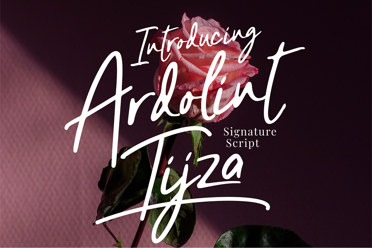 Ardolint Tijza Font, a Script Font by Mabhal Studio (Photo 1 of 10)