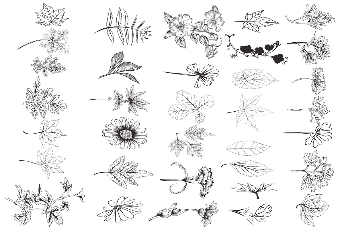 Pack of floral brushes preview 4