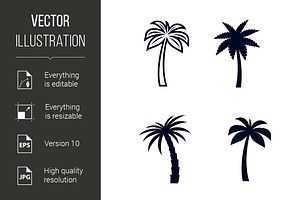 Tropical Palm Trees