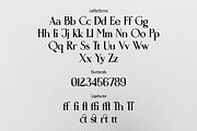 Daytripper Display | Dramatic Serif, a Serif Font by wendyleftmealone (Thumbnail 2 of 7)