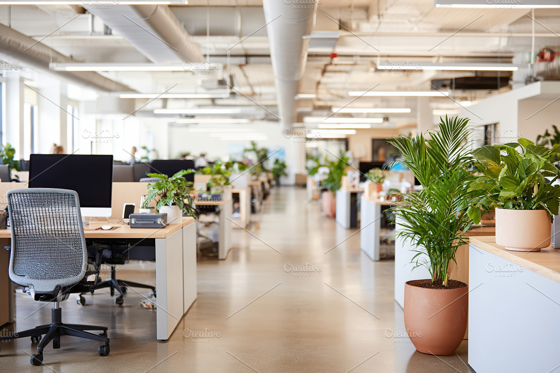 Minimalist open office space with natural light and plants promoting productivi, a Photo by AlyaAnd