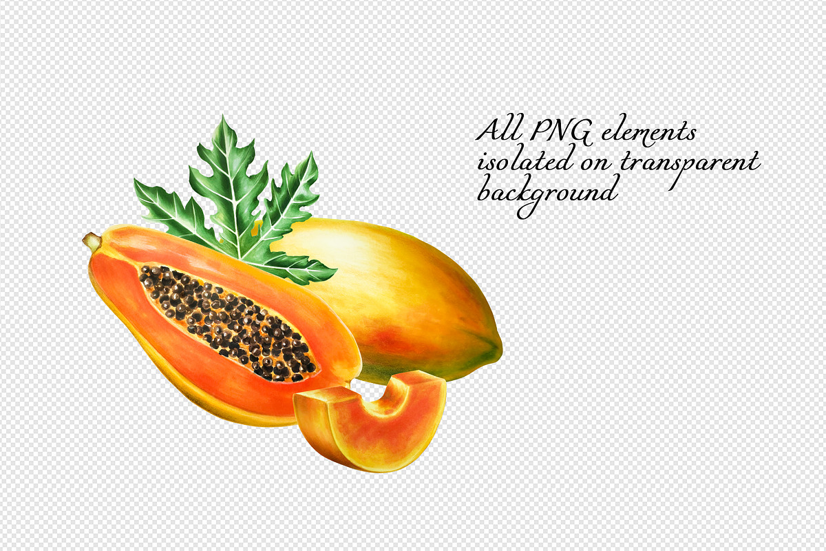Papaya clipart in botanical style, a Food Illustration by Navenzeles (Photo 7 of 12)