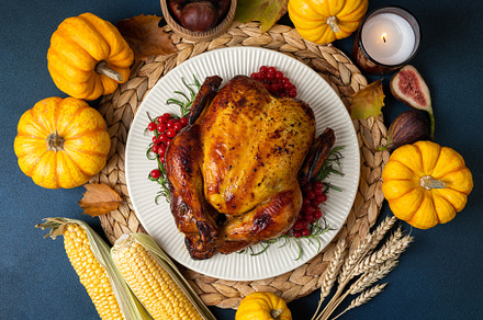 Roasted chicken for Thanksgiving Day, a Food & Drink Photo by LanaSweet