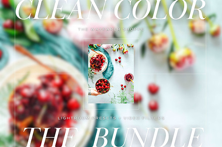 15 Color LR Presets, Video Filters, a Preset Add-On by TheWayfarerShoppe
