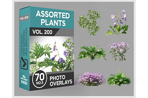 70 Assorted Plants Photo Overlays