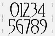 CS Strange – Modern Serif Font, a Serif Font by Craft Supply Co. (Thumbnail 5 of 8)