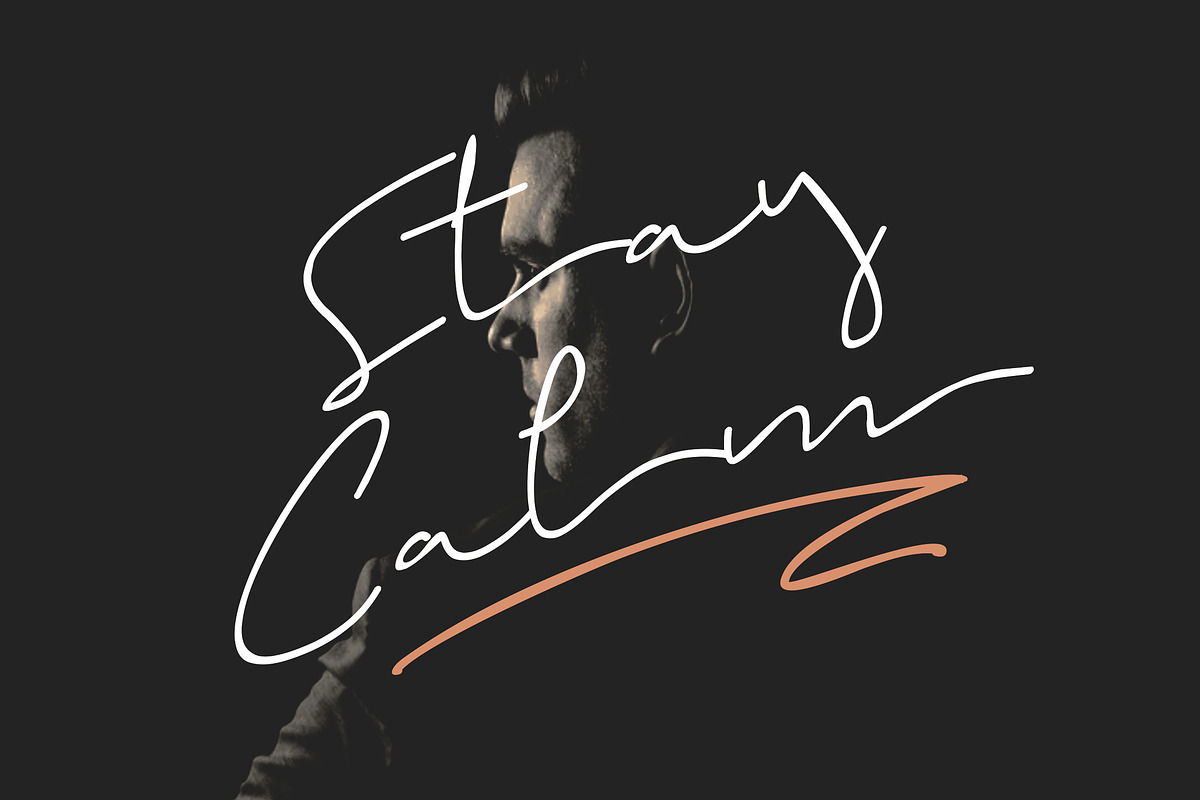 Brigham Signature Script, a Script Font by Glyphstyle (Photo 3 of 10)