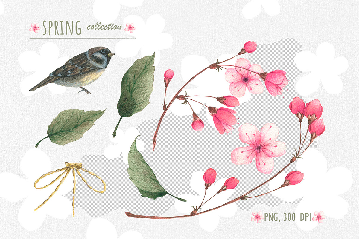 SPRING CHERRY BLOSSOM SET, a Decorative Illustration by YULIYA MART DESIGN (Photo 2 of 10)