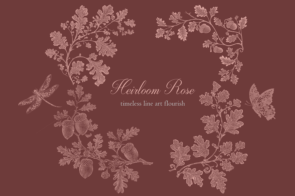 Vintage Floral Bundle, an Object Illustration by studioequinox (Photo 3 of 65)