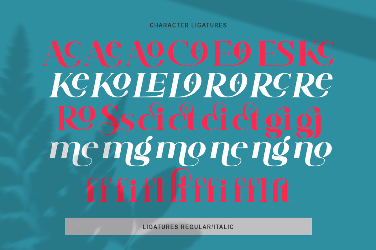 Bedicta Hosta, a Serif Font by Gatype (Photo 4 of 10)