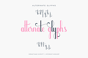 Ornatique script - 4 fonts, a Script Font by VP Fonts (Thumbnail 12 of 15)