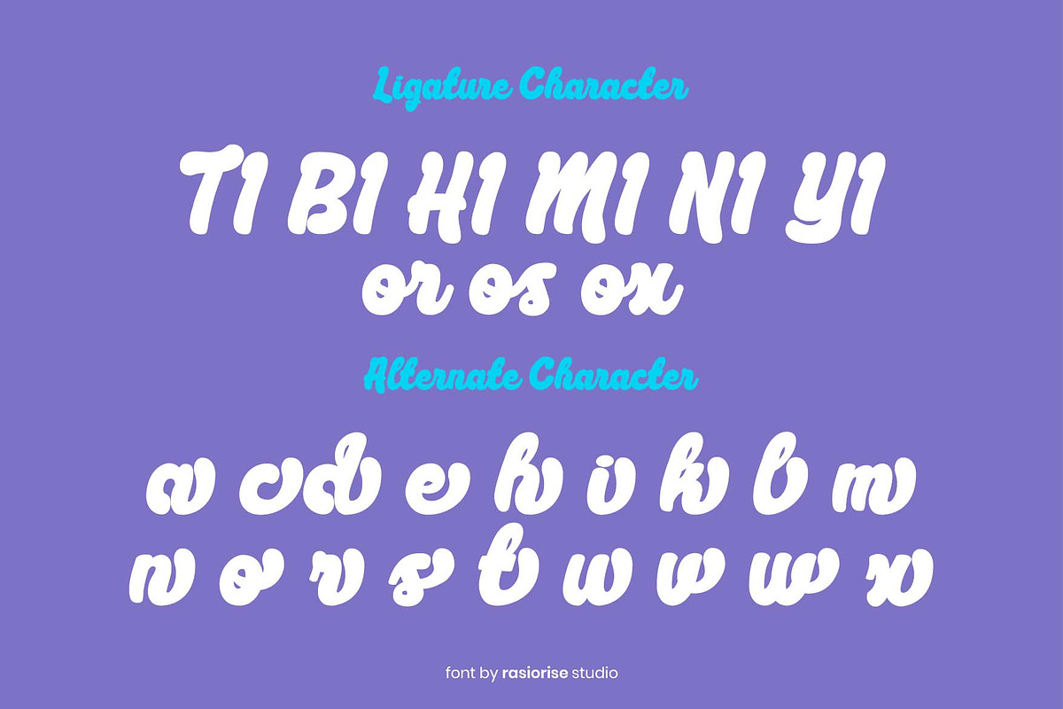 Oirena a Handwritten Funscript Font, a Handwritten Font by Rasiorise Studio (Photo 11 of 12)
