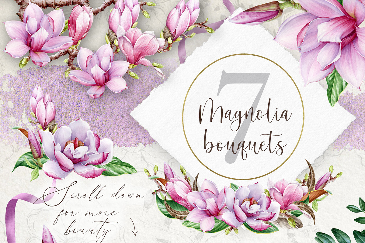 Pink Magnolia Watercolor Collection, a Decorative Illustration by AnitaPol (Photo 3 of 14)