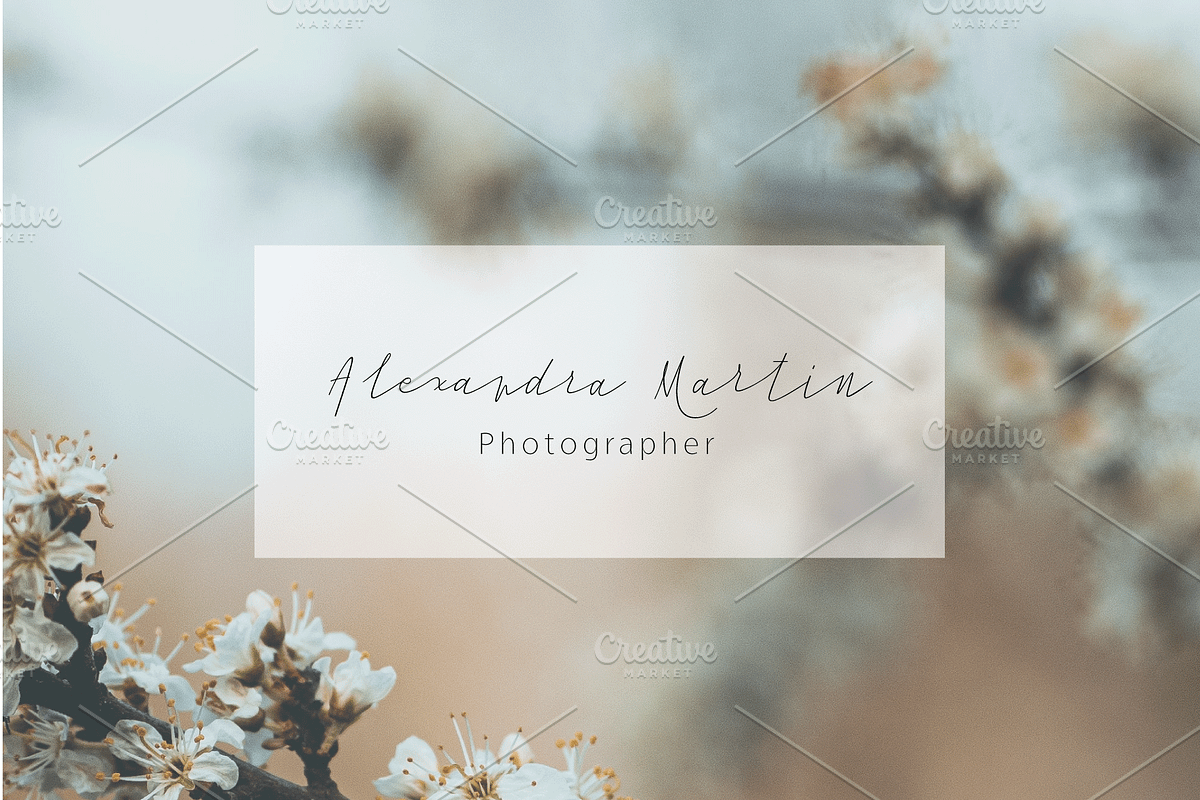 50%Off - Huge Script Family, a Script Font by vectalex (Photo 5 of 9)