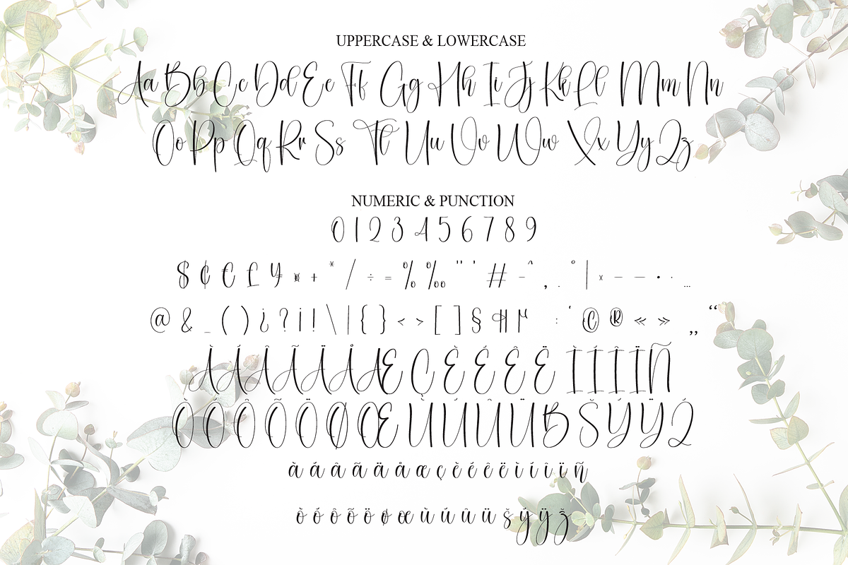 Eucaly | Script Font, a Handwritten Font by Scratchones (Photo 7 of 9)